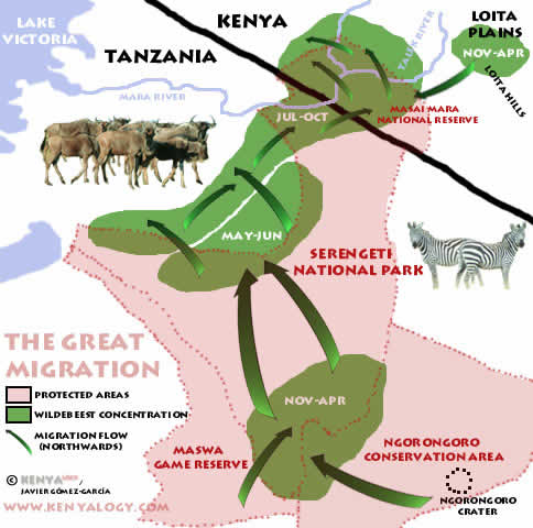 Wildebeest Migration in East Africa