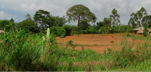 African Soils