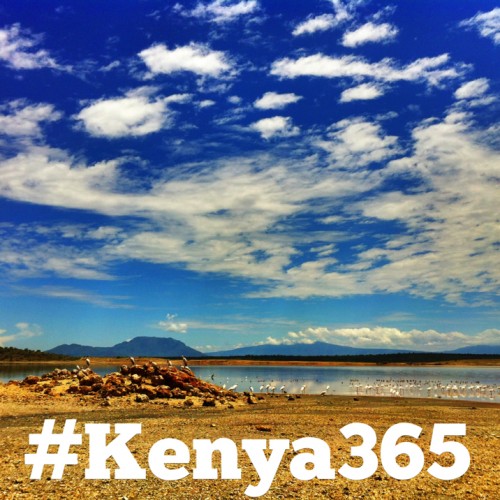 The #Kenya365 Instgram Project