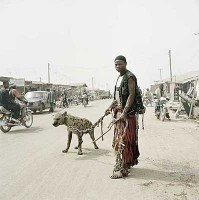 Hyena Handler